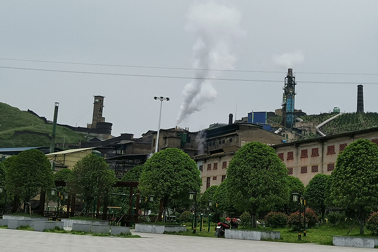 1622288686183233.jpg Sb-plant.jpg